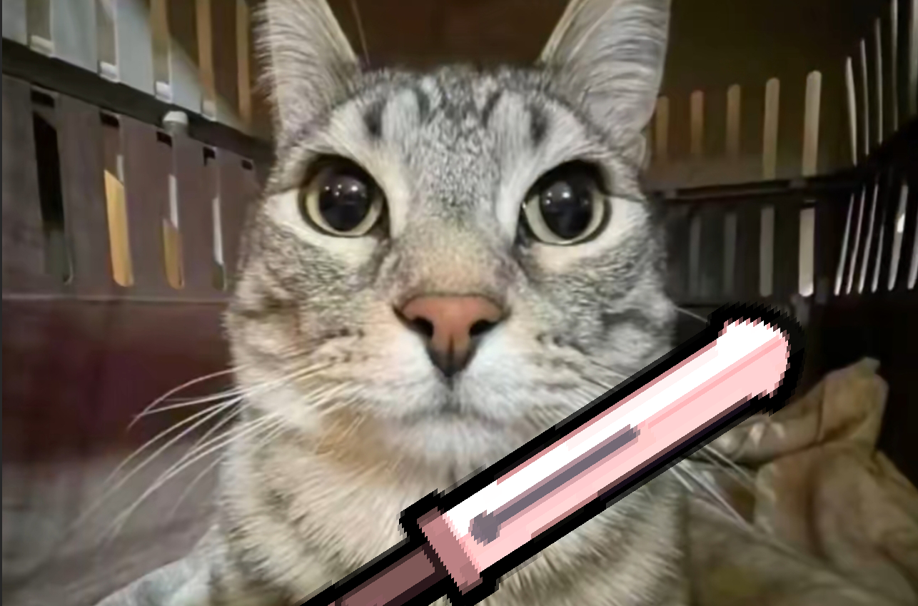 猫猫人格前缀