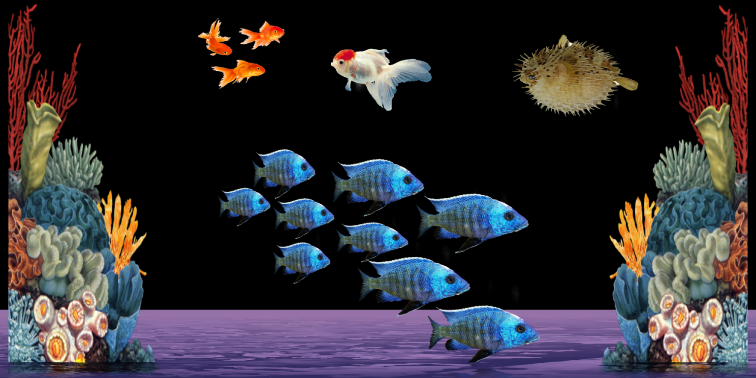 Aquarium