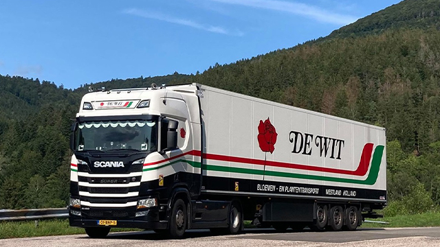 Combo SkinA Wit Transport BV