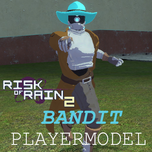 Bandit (PM, Ragdoll) Risk of Rain 2