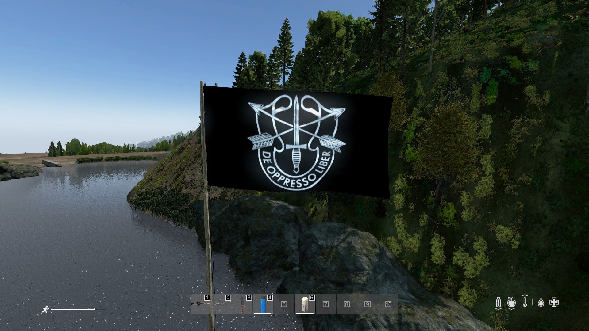TeamDev06 Flags