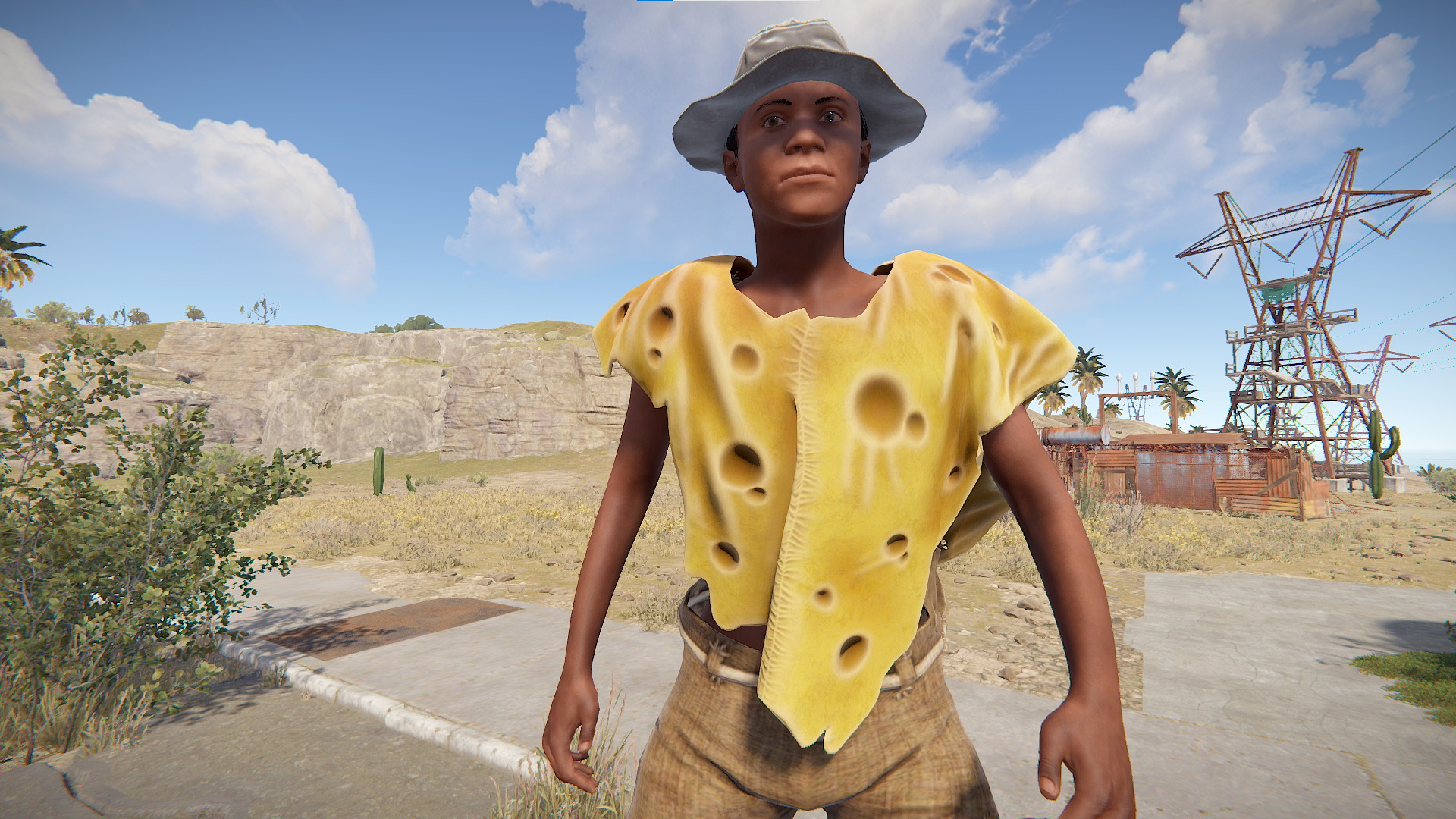 Cheese Poncho