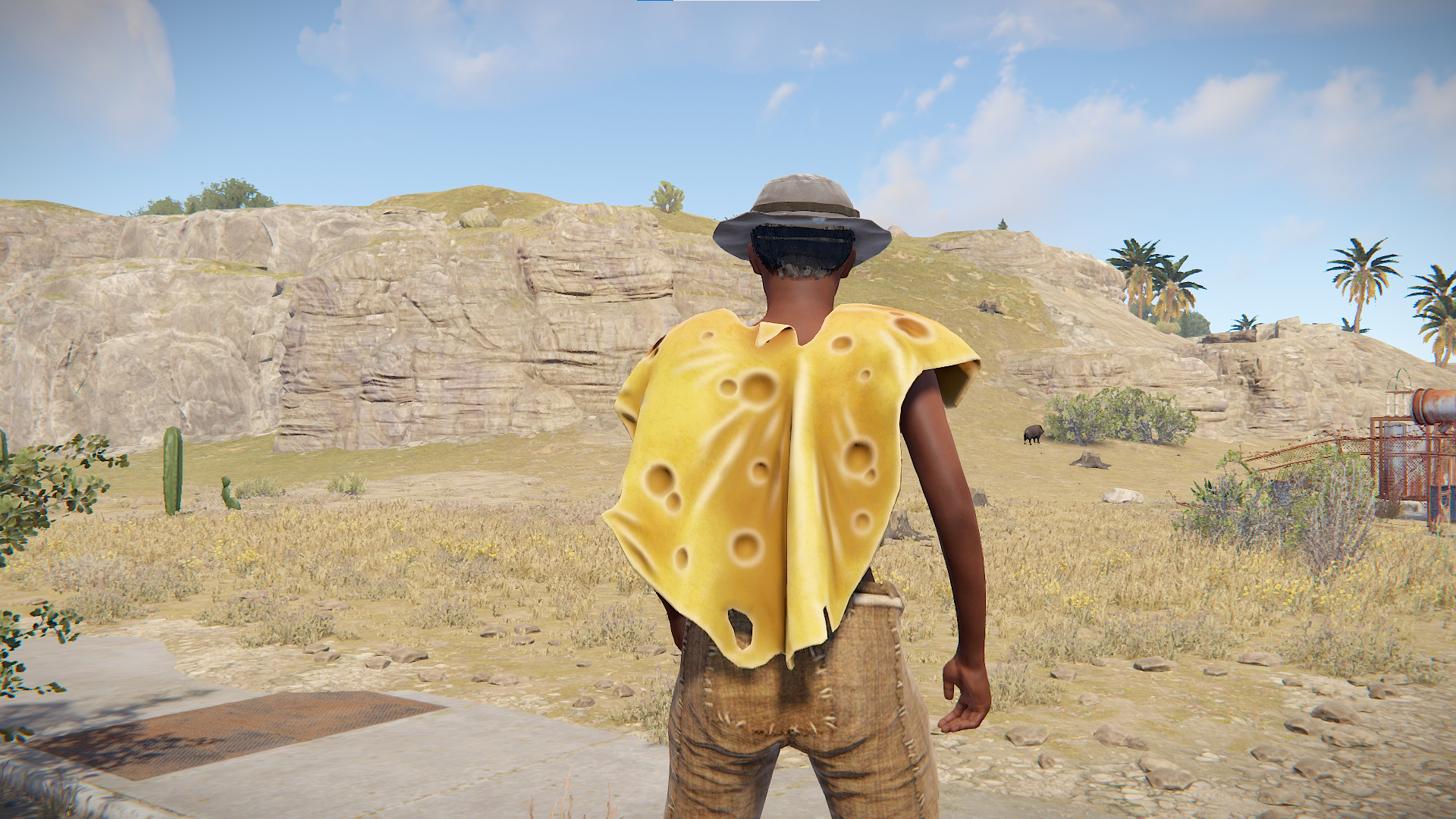 Cheese Poncho