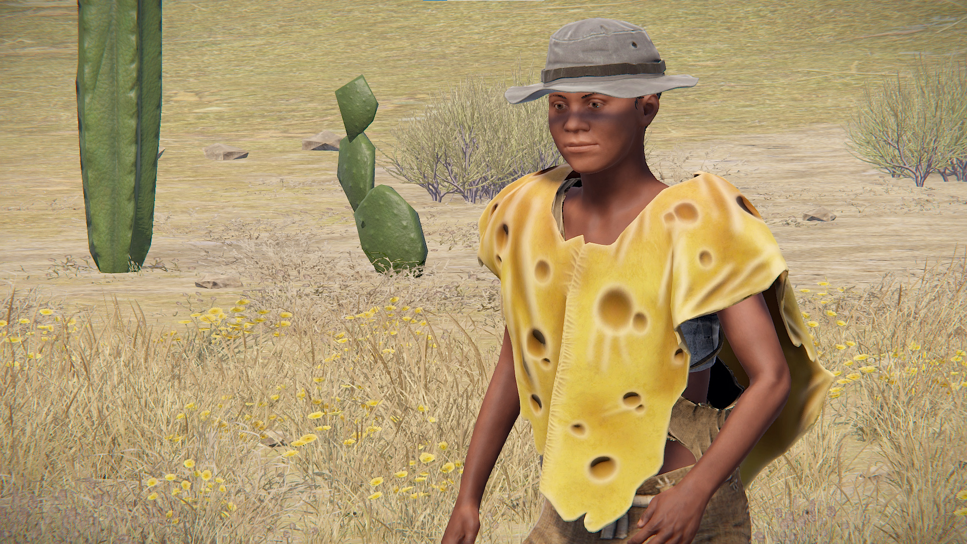Cheese Poncho