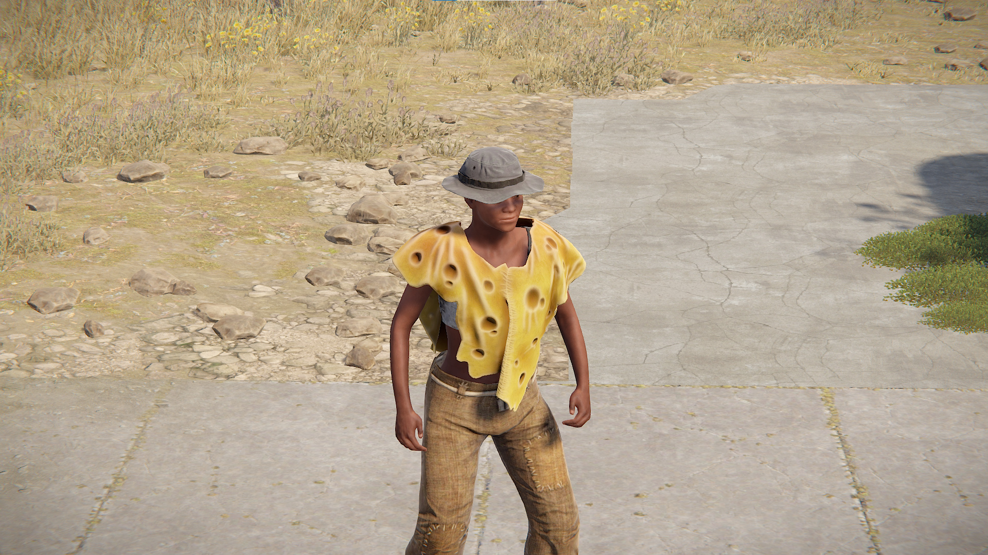 Cheese Poncho
