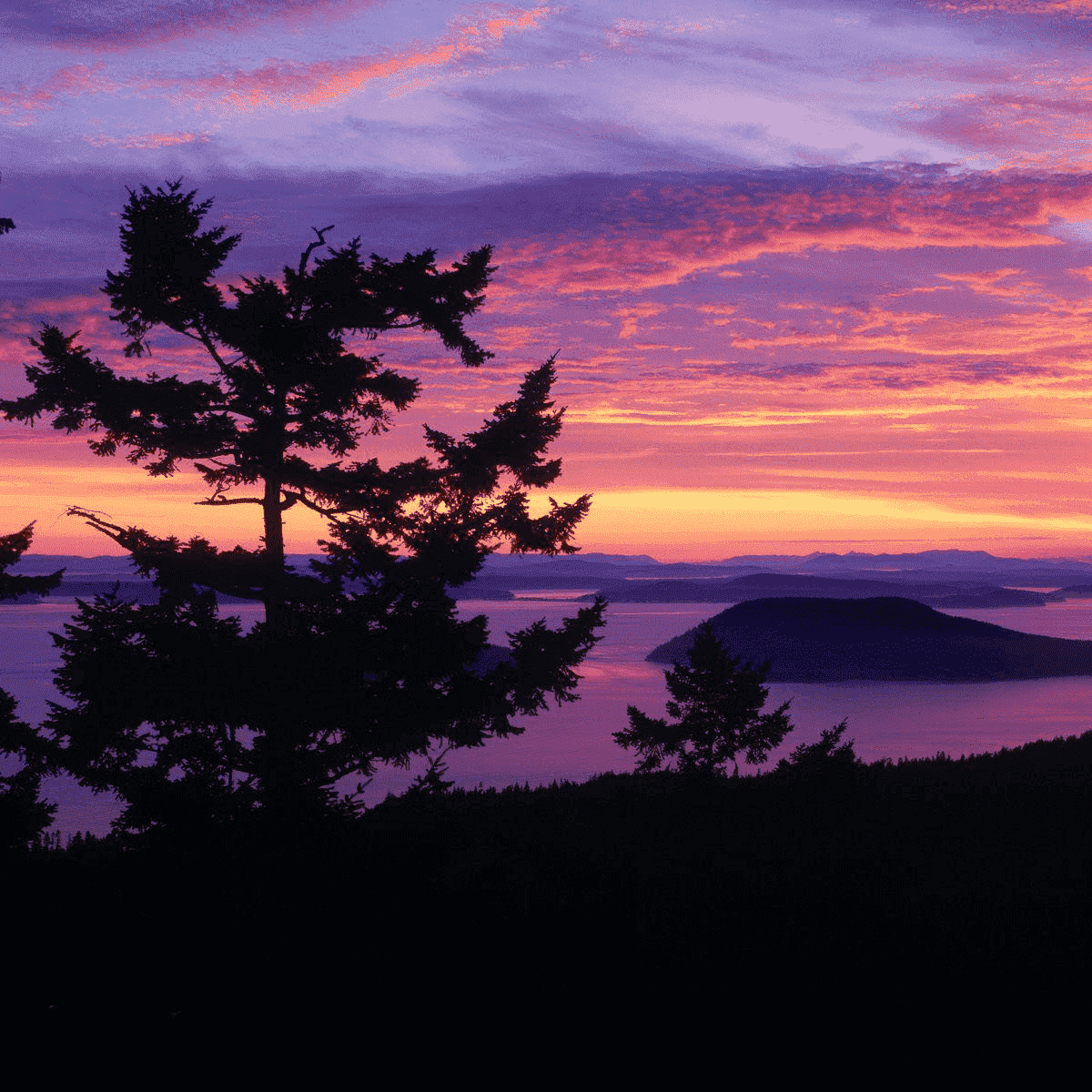 San Juan Islands (Biomes)
