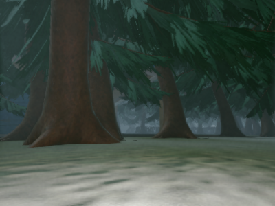 the woods