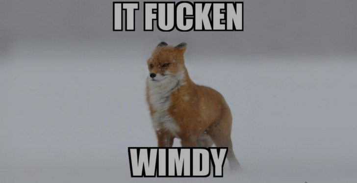 WINDMDY