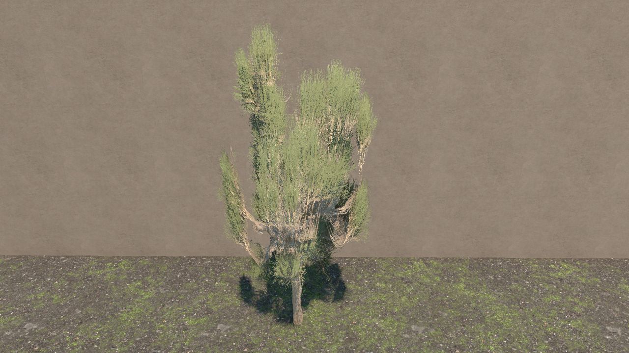 Tall juniper