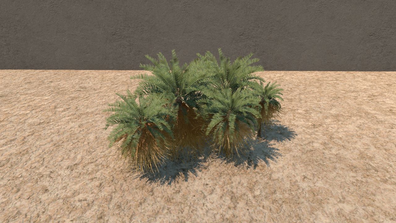 Cycad bush
