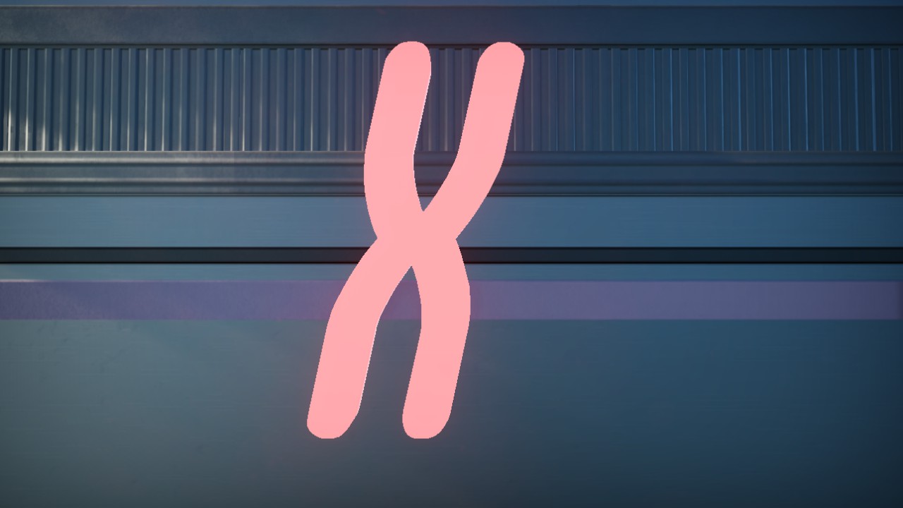 Hotel Motel Font Letter X 2m Lit Flexicolor