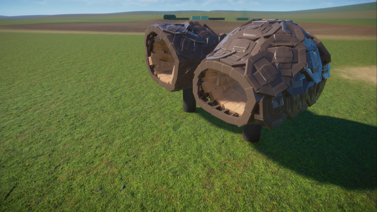 Galapagos Tortoise Shells
