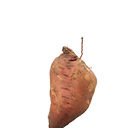 Sweet Potatoes