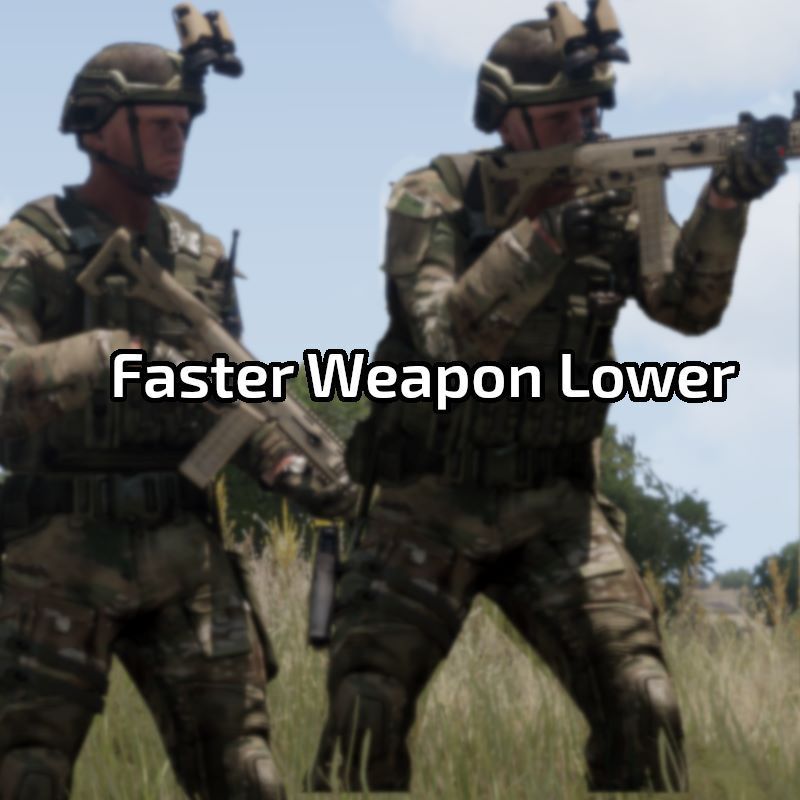 Faster Weapon Lower