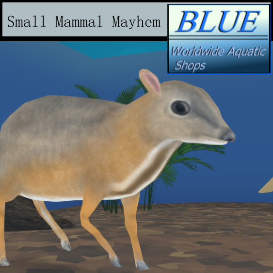 BLUE - Small Mammal Mayhem