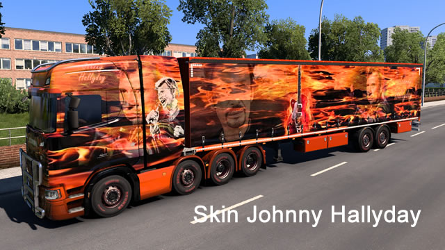 Skin johnny hallyday