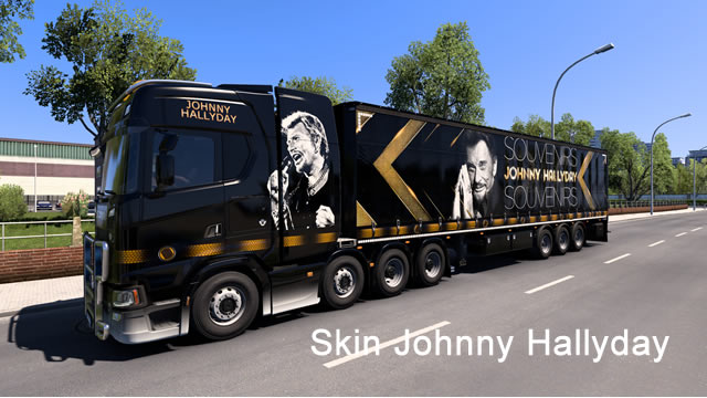 Skin Johnny Hallyday