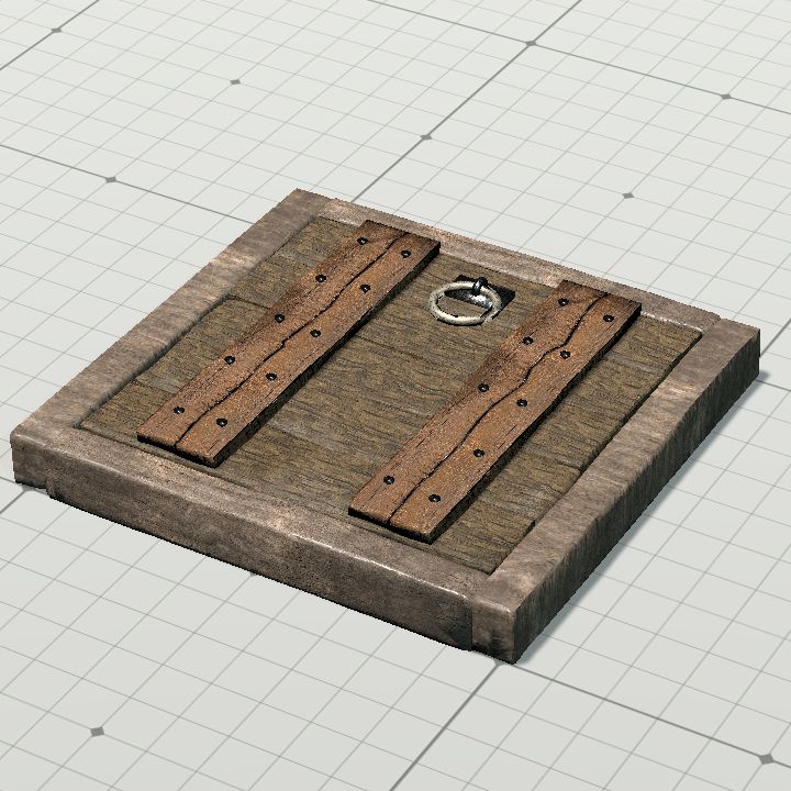 Floor Trap Door