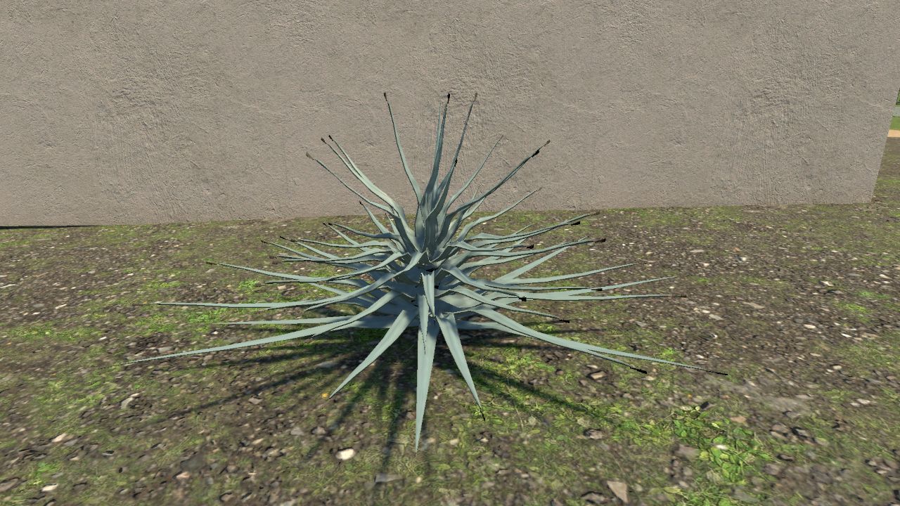 Welwitschiophyllum
