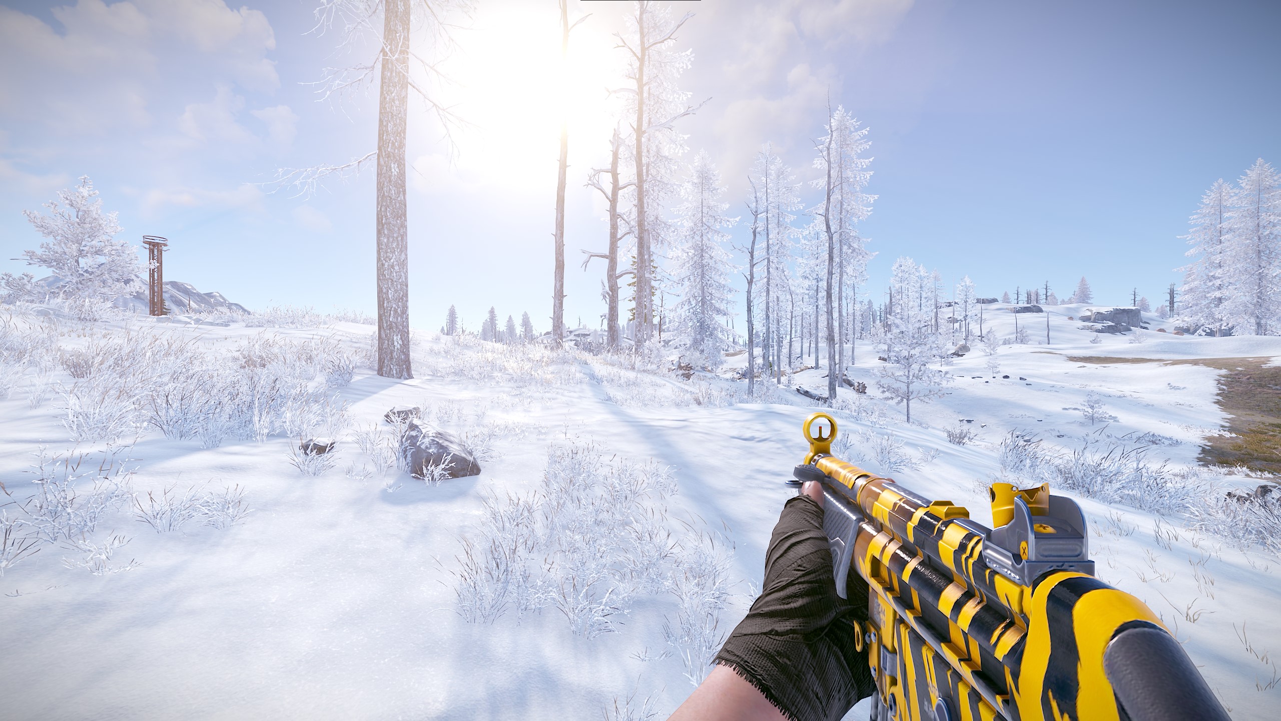 Tiger Stripes MP5