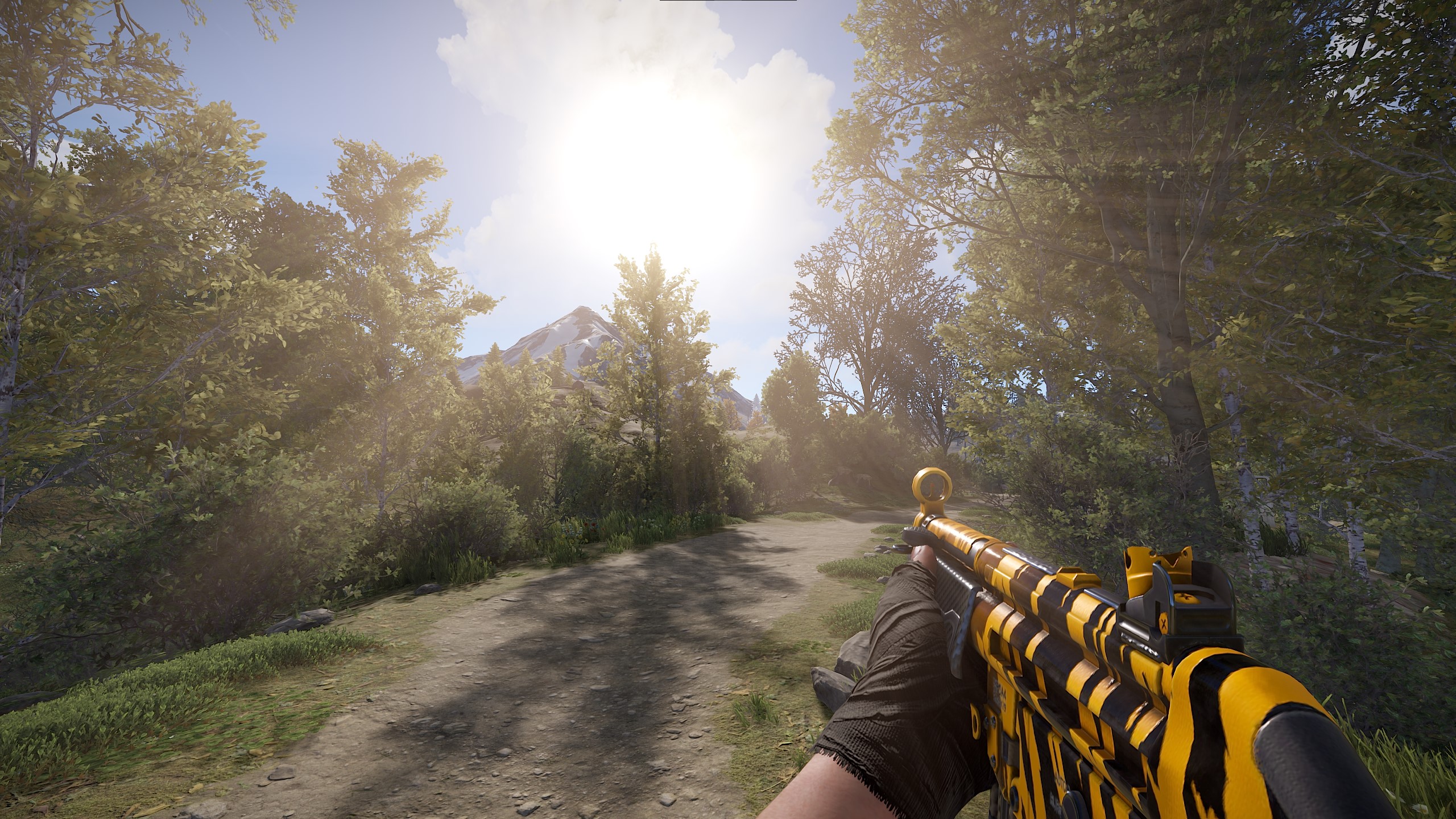 Tiger Stripes MP5