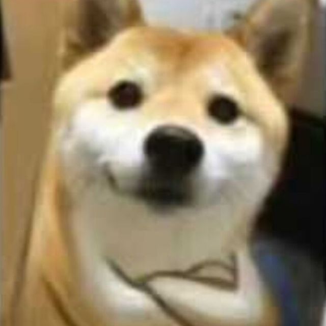 自动读书