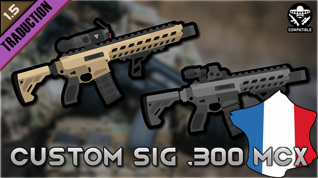 Custom SIG .300 MCX [Fr]