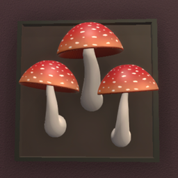 Framed Mushrooms