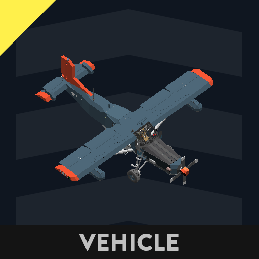 PC-6 Pilatus Porter