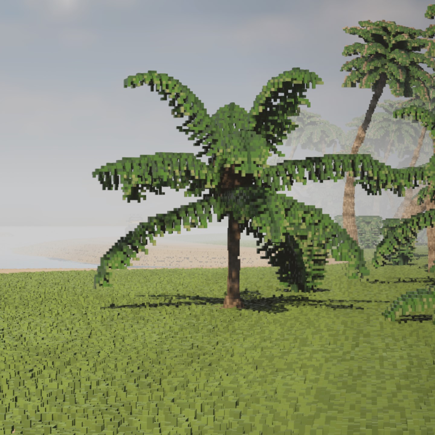 Large Island