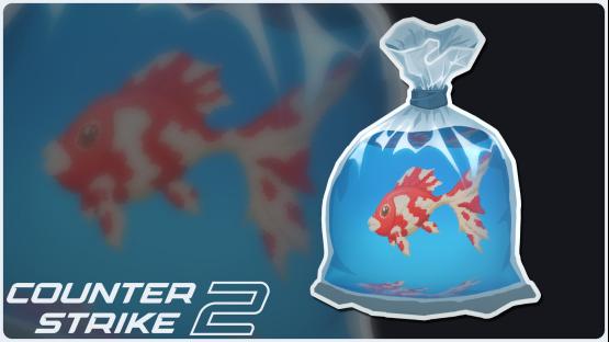 Fish Bag | Koi | Lenticular