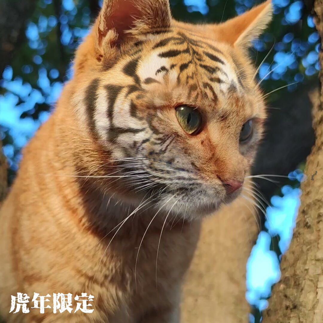 水修技能攻击最近敌人