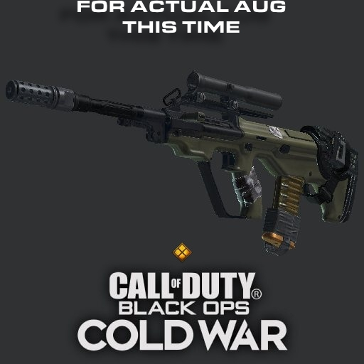 [Outdated] BO:CW AUG Hostage Situation