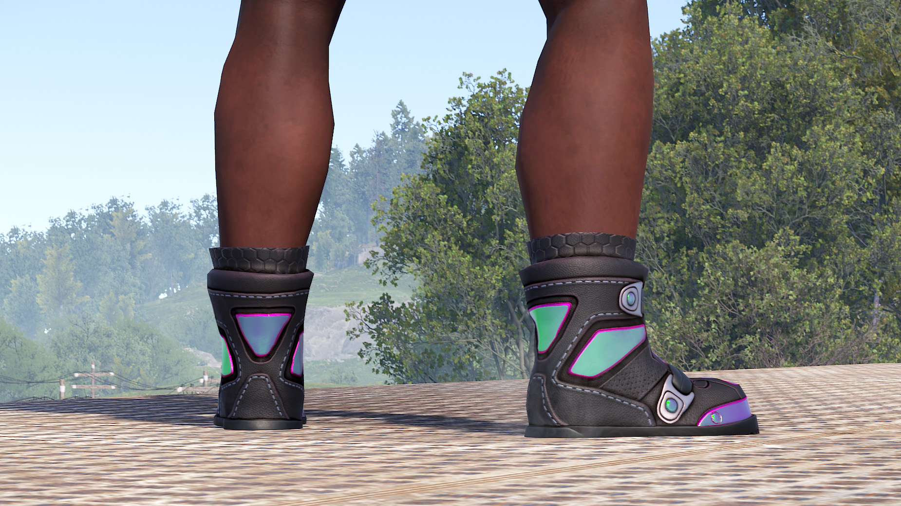 Chameleon Boots thumbnail 4