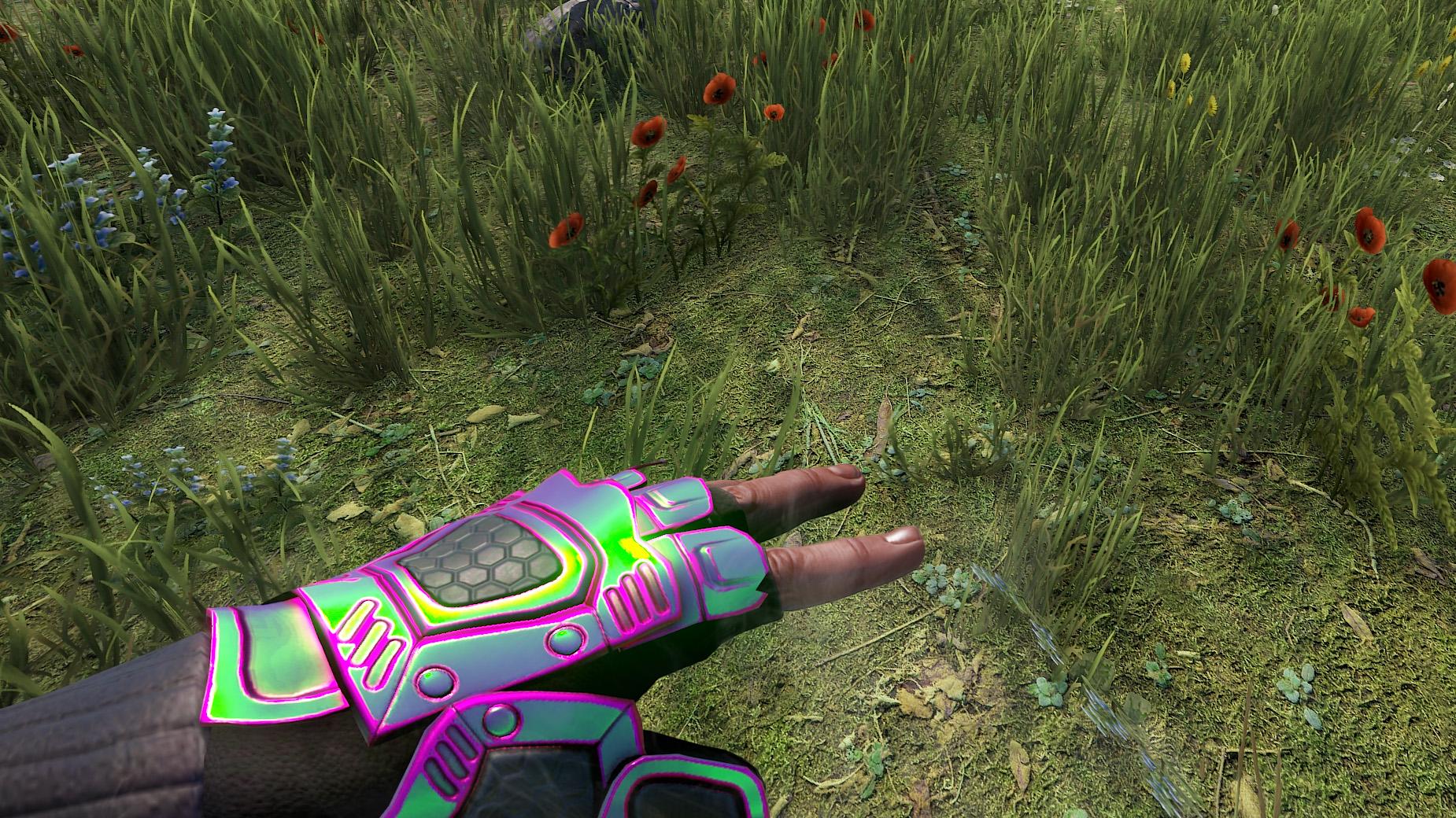 Chameleon Roadsign Gloves