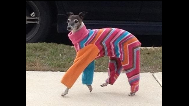 Fashion is Art