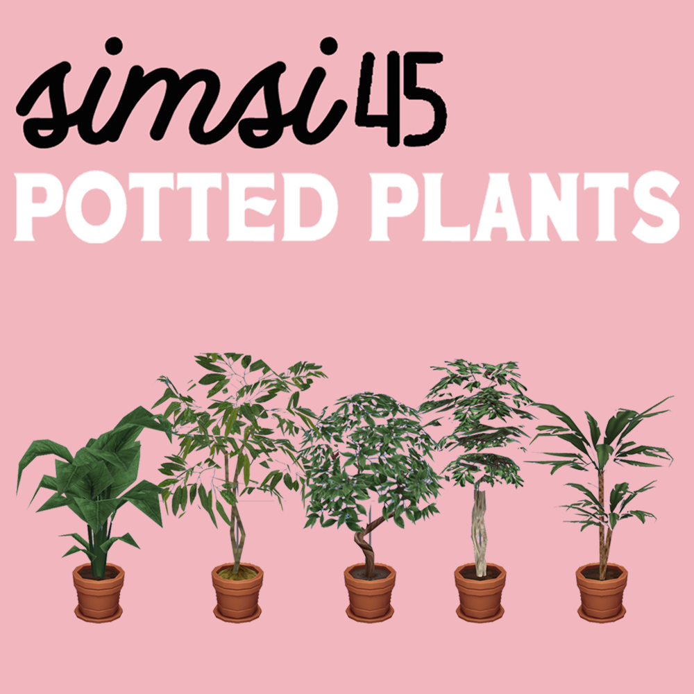 simsi45 Potted Plants