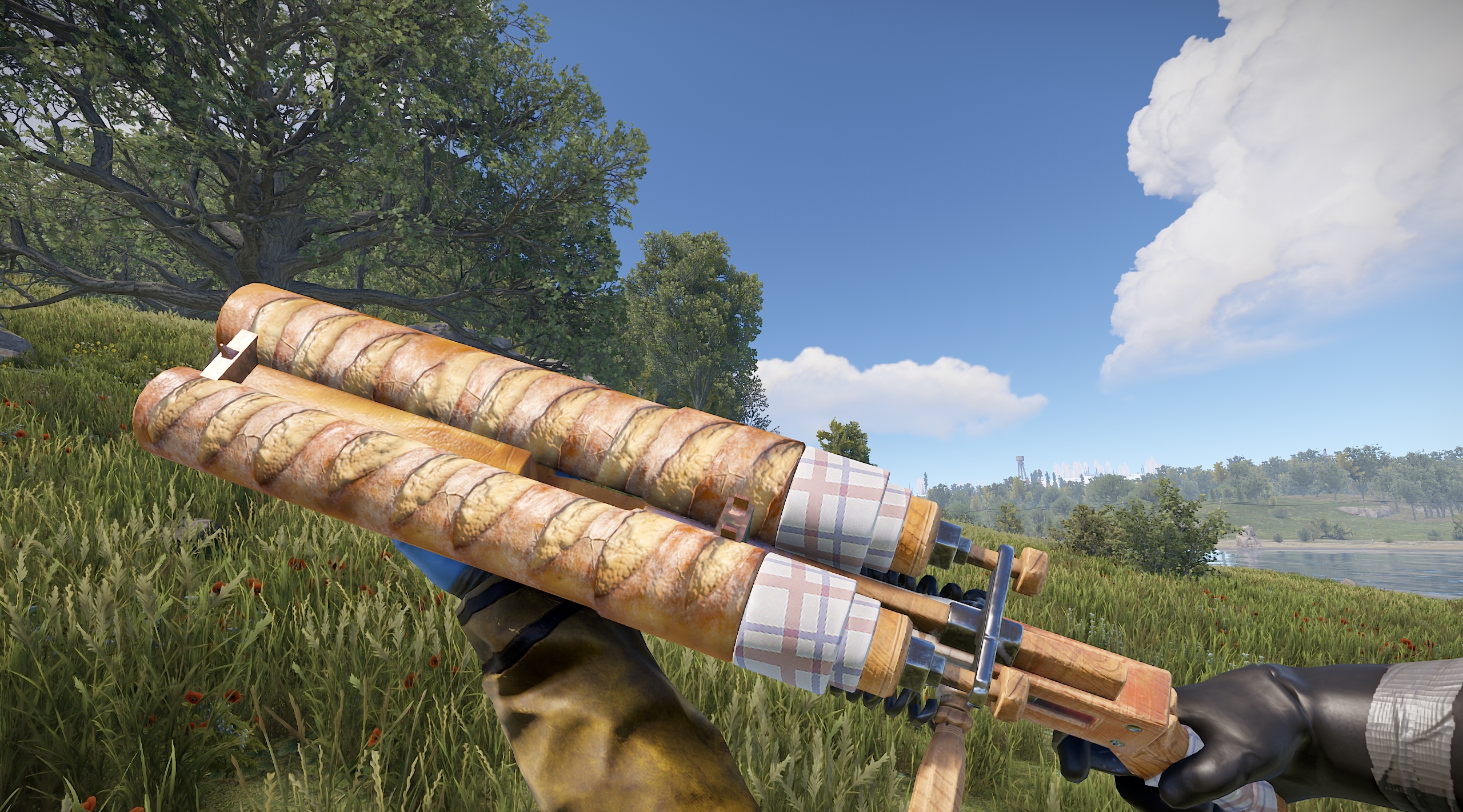 Double Baguette
