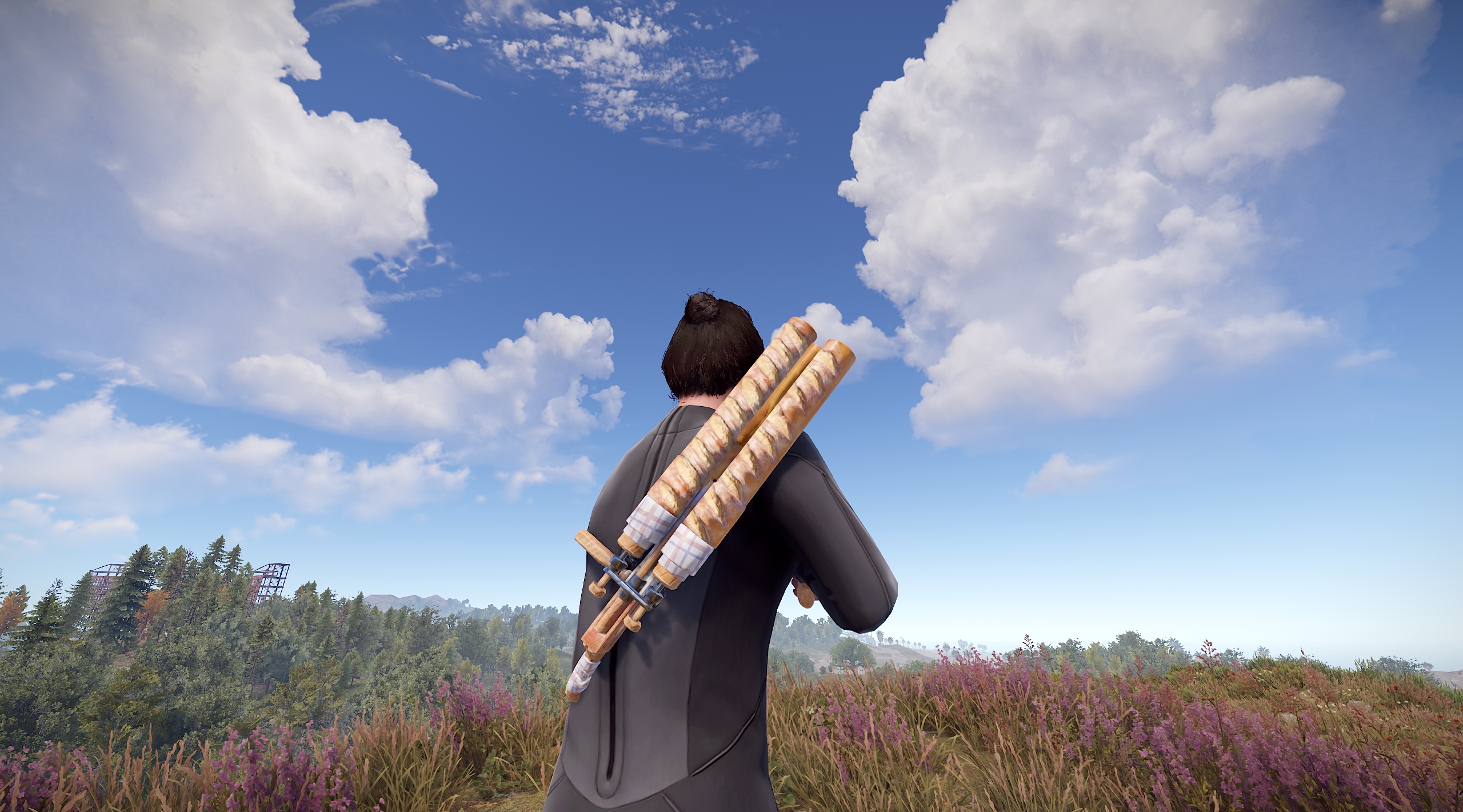 Double Baguette