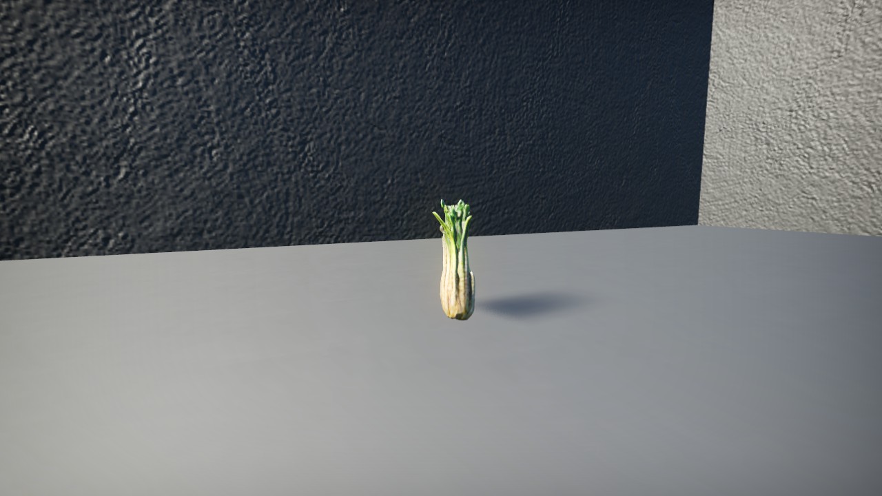 Salsify