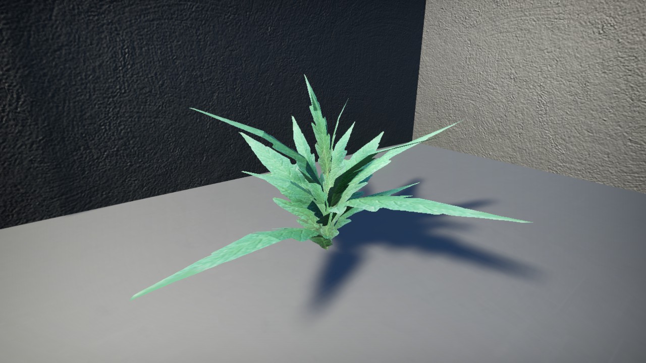 Sprout 3