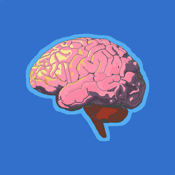 Brain