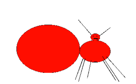 Ansoid Hives