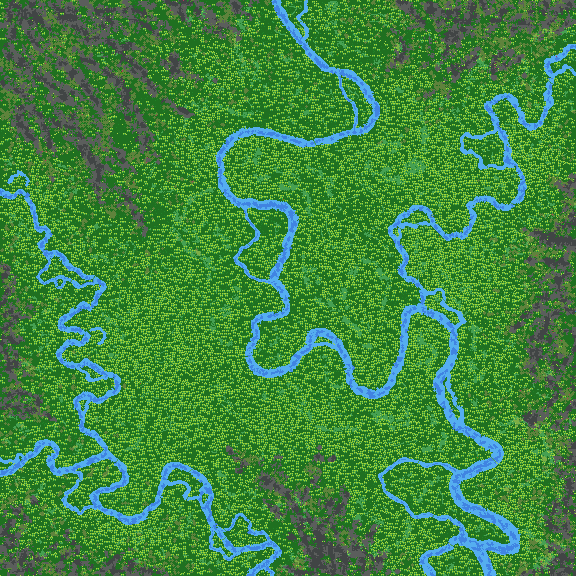 a river in a jungle