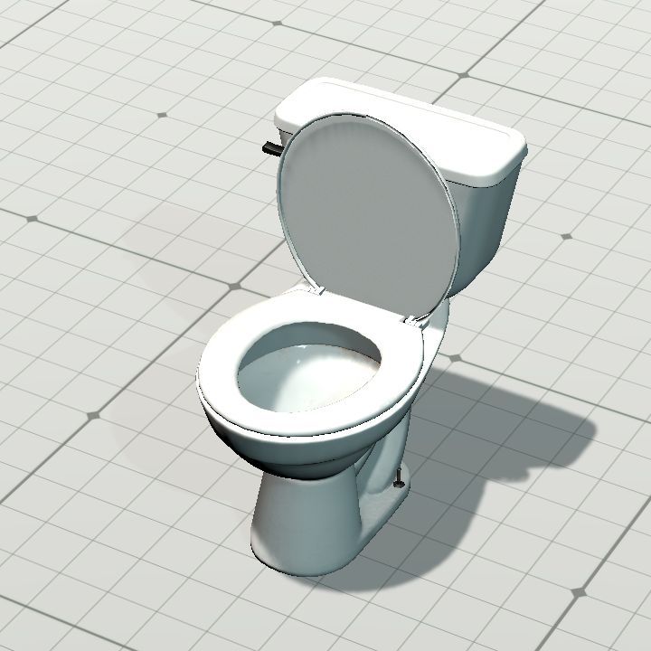 toilet