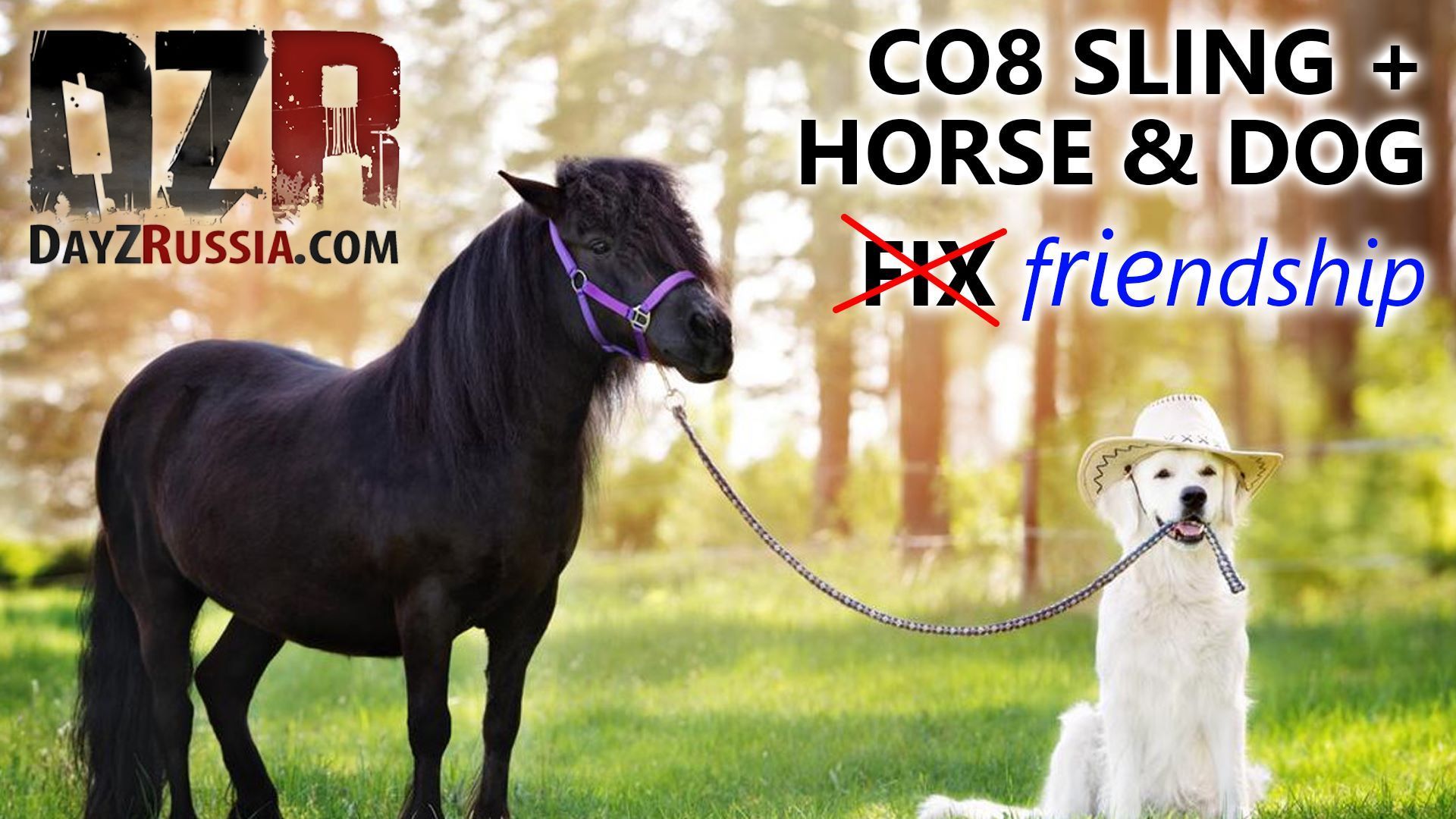 CO8 Modelpack Horse & Dog FIX