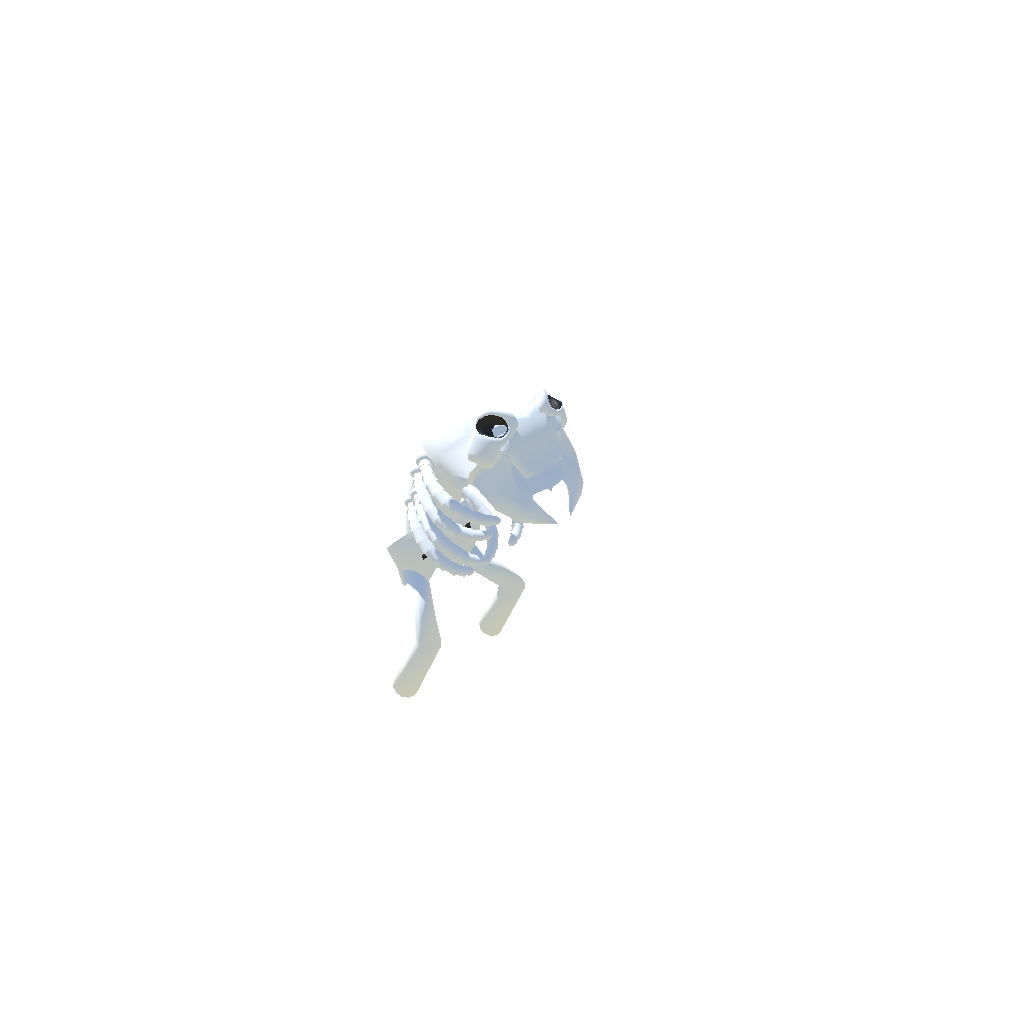 skele sloom