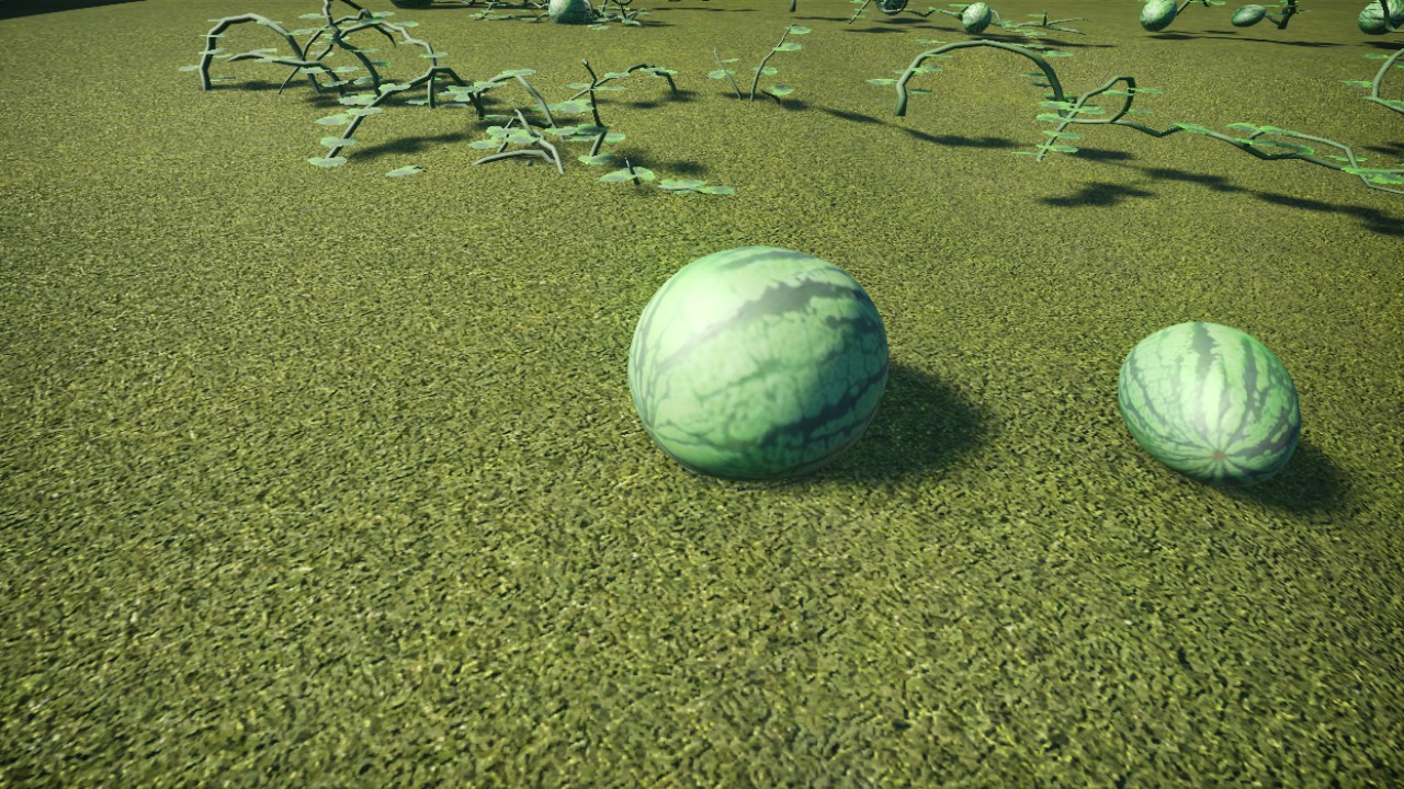 Watermelon P3