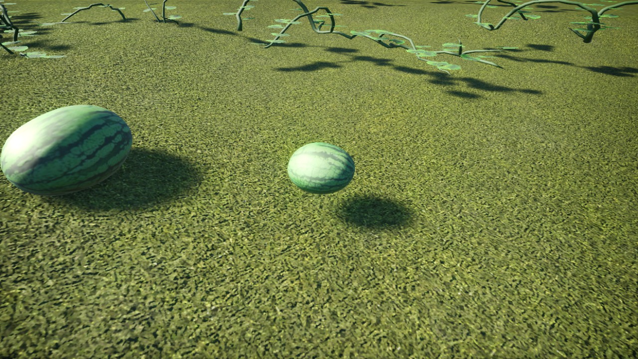 Watermelon P1