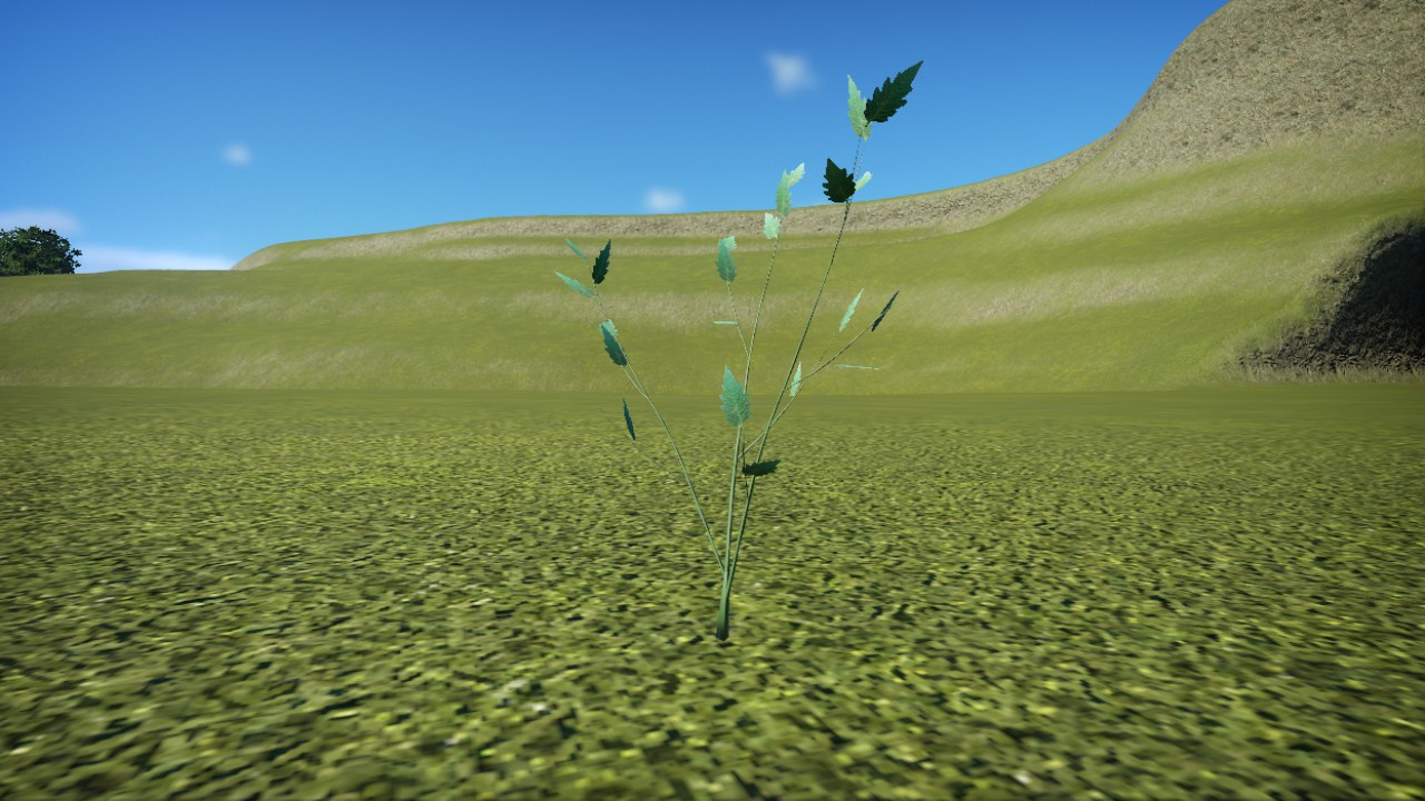 Basic Crop Bush 4